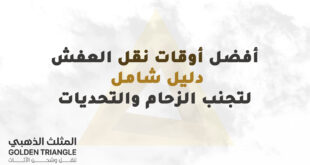أفضل أوقات نقل العفش: دليل شامل لتجنب الزحام والتحديات