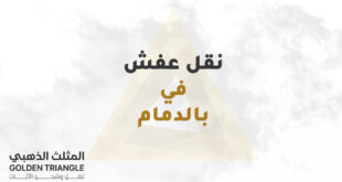 نقل عفش في الدمام