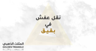 نقل عفش في بقيق